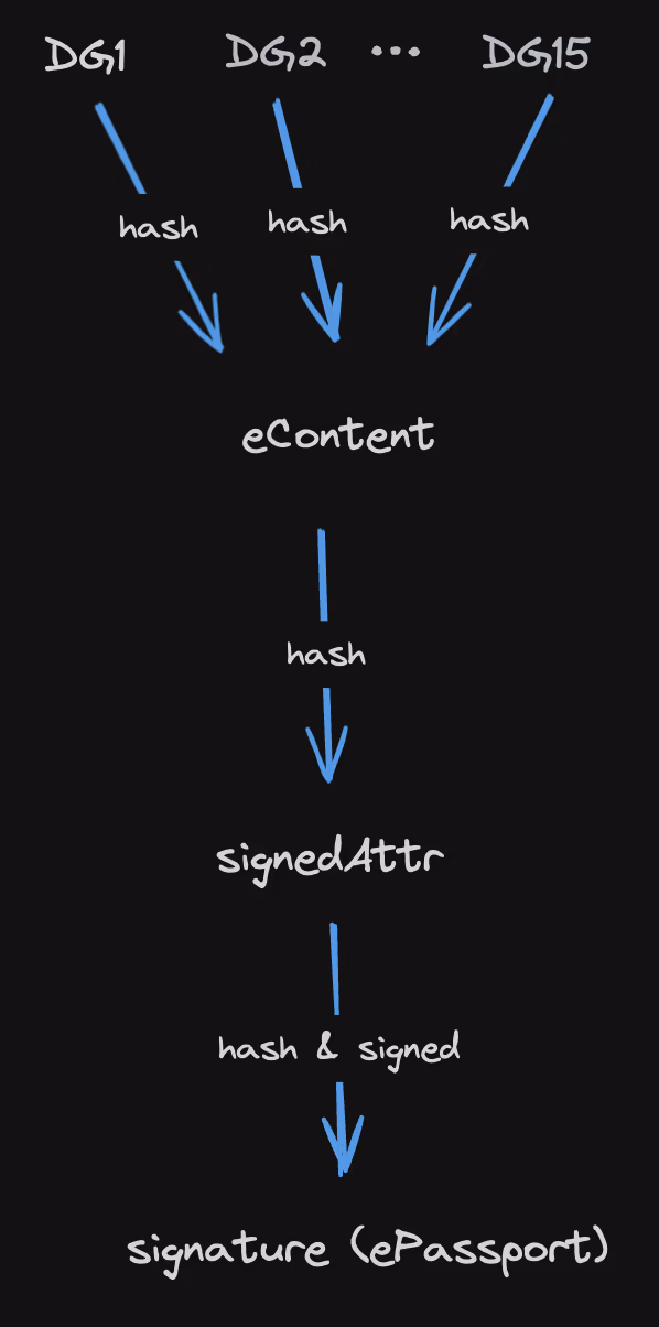 Signature chain diagram: data groups DG1 through DG15 are hashed into eContent, which is hashed into signedAttr, then hashed and signed to produce the ePassport signature